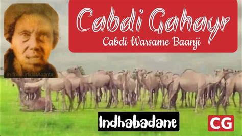 4- Sayid Maxamed cabdulle xasan. . Cabdi gahayr iyo sacad muuse